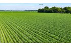 Property photo 153 - LAND AUCTION - 1,803.33+/-ACRES OFFERED IN 18 TRACTS IN KOSCIUSKO AND ELKHART COUNTY, INDIANA