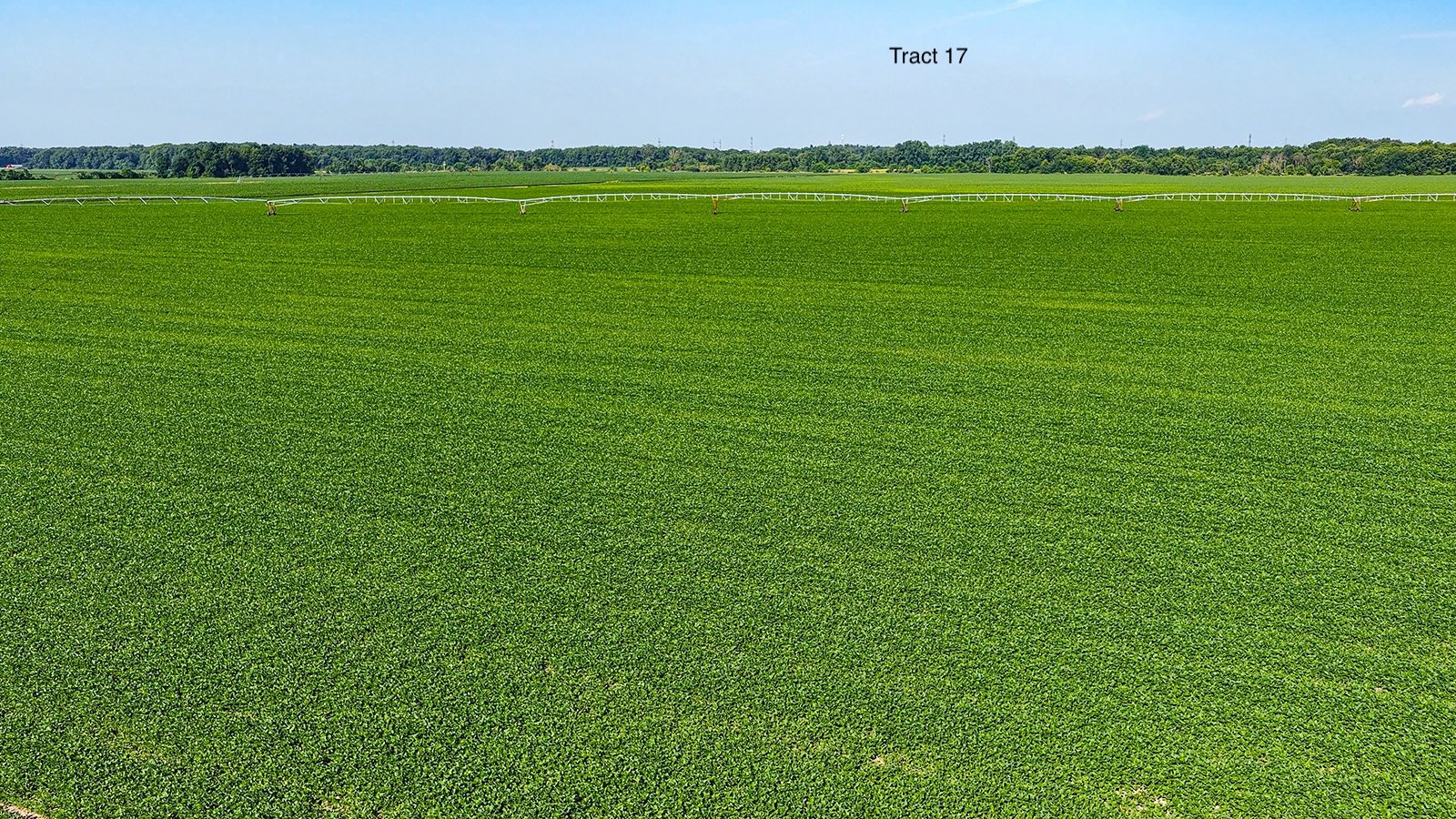 Property photo 138 - LAND AUCTION - 1,803.33+/-ACRES OFFERED IN 18 TRACTS IN KOSCIUSKO AND ELKHART COUNTY, INDIANA