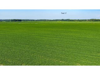Property photo 138 - LAND AUCTION - 1,803.33+/-ACRES OFFERED IN 18 TRACTS IN KOSCIUSKO AND ELKHART COUNTY, INDIANA