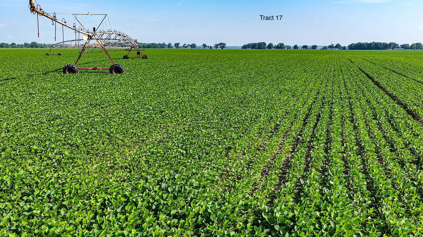 Property photo 144 - LAND AUCTION - 1,803.33+/-ACRES OFFERED IN 18 TRACTS IN KOSCIUSKO AND ELKHART COUNTY, INDIANA