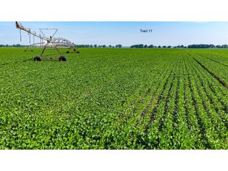 Property photo 144 - LAND AUCTION - 1,803.33+/-ACRES OFFERED IN 18 TRACTS IN KOSCIUSKO AND ELKHART COUNTY, INDIANA