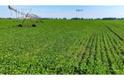 Property photo 144 - LAND AUCTION - 1,803.33+/-ACRES OFFERED IN 18 TRACTS IN KOSCIUSKO AND ELKHART COUNTY, INDIANA
