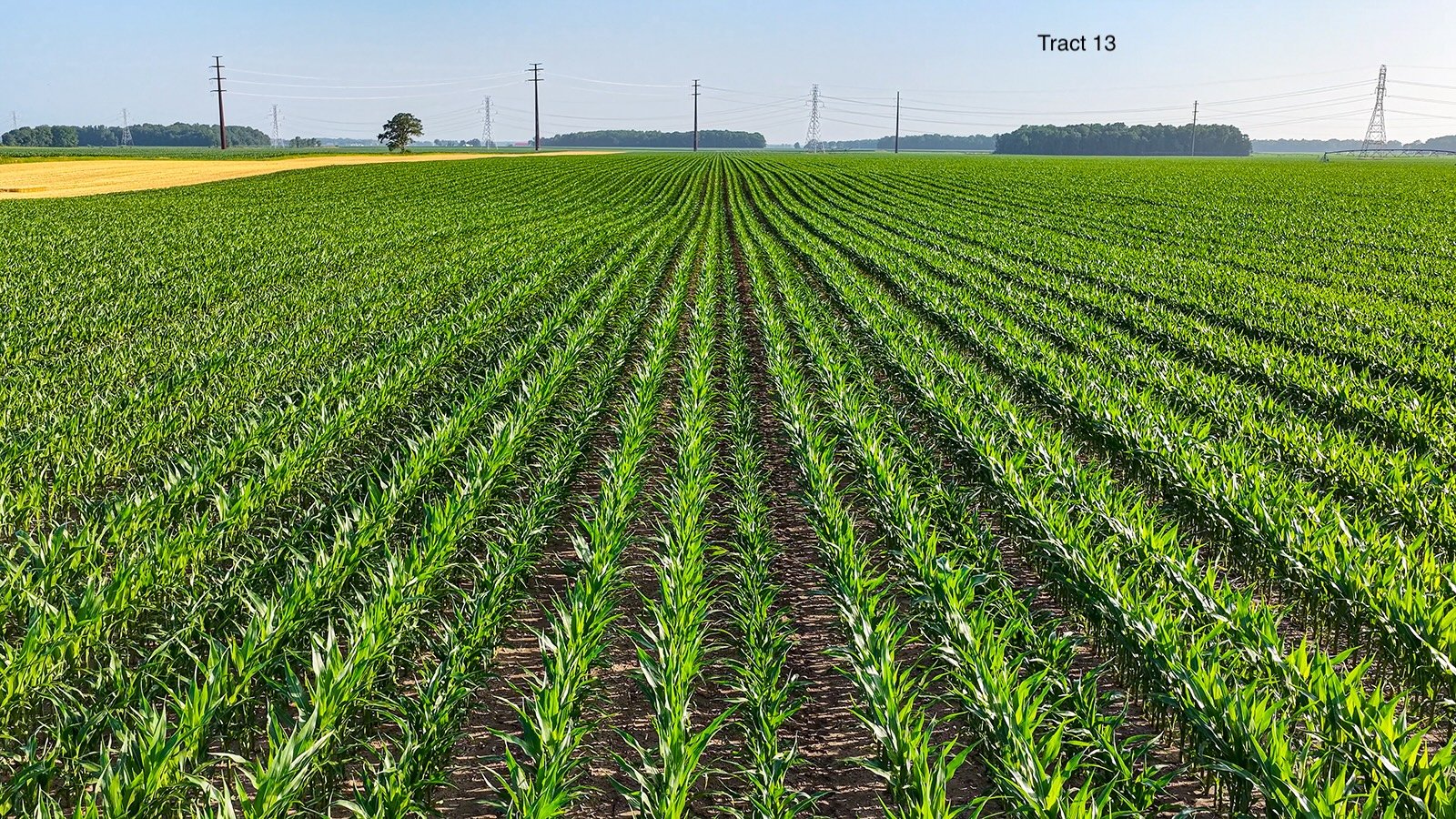 Property photo 102 - LAND AUCTION - 1,803.33+/-ACRES OFFERED IN 18 TRACTS IN KOSCIUSKO AND ELKHART COUNTY, INDIANA