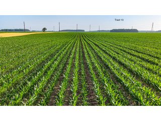 Property photo 102 - LAND AUCTION - 1,803.33+/-ACRES OFFERED IN 18 TRACTS IN KOSCIUSKO AND ELKHART COUNTY, INDIANA