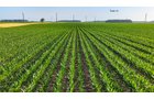 Property photo 102 - LAND AUCTION - 1,803.33+/-ACRES OFFERED IN 18 TRACTS IN KOSCIUSKO AND ELKHART COUNTY, INDIANA