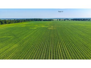 Property photo 143 - LAND AUCTION - 1,803.33+/-ACRES OFFERED IN 18 TRACTS IN KOSCIUSKO AND ELKHART COUNTY, INDIANA