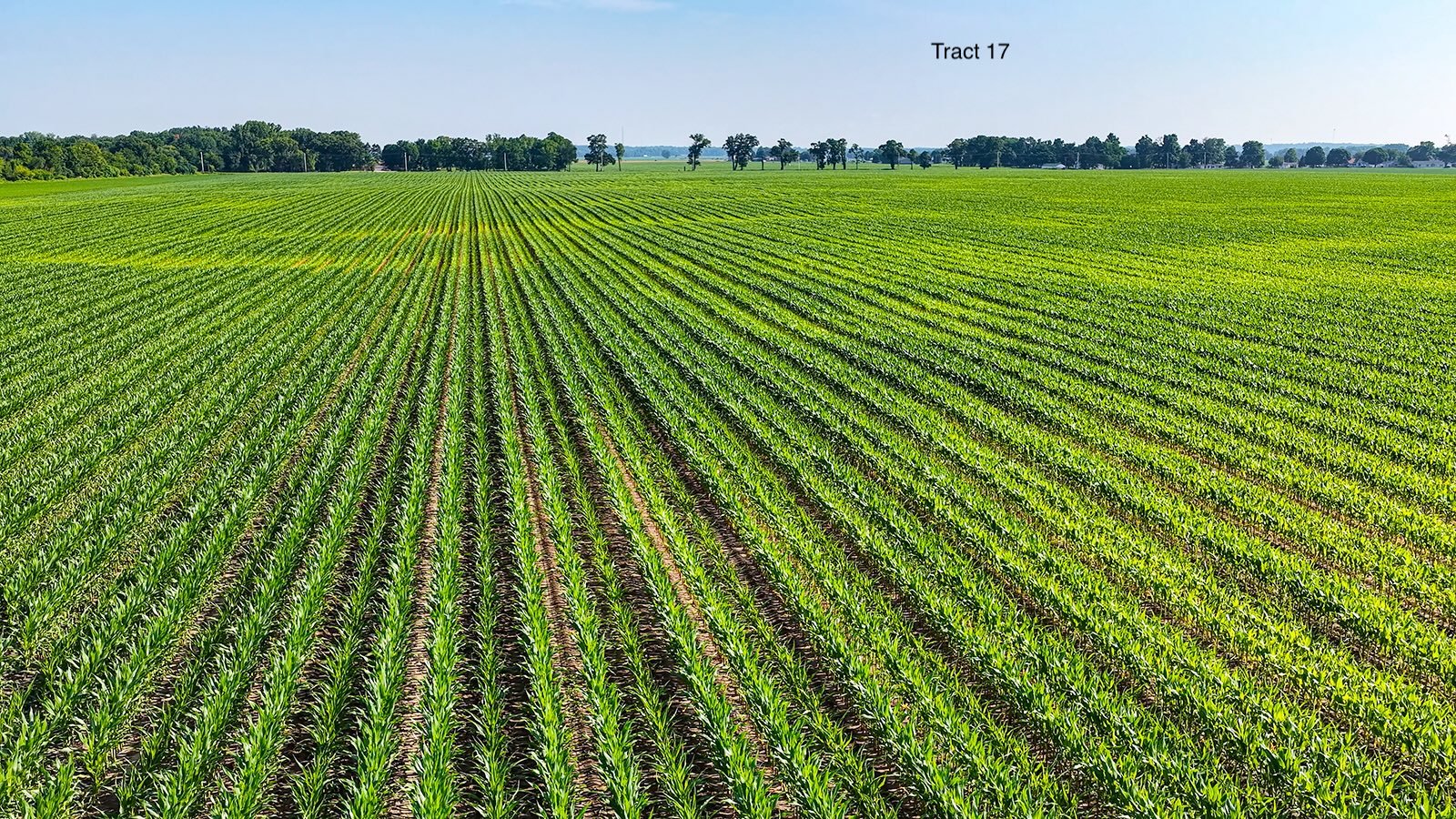 Property photo 142 - LAND AUCTION - 1,803.33+/-ACRES OFFERED IN 18 TRACTS IN KOSCIUSKO AND ELKHART COUNTY, INDIANA