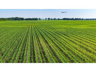 Property photo 142 - LAND AUCTION - 1,803.33+/-ACRES OFFERED IN 18 TRACTS IN KOSCIUSKO AND ELKHART COUNTY, INDIANA
