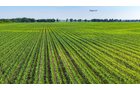 Property photo 142 - LAND AUCTION - 1,803.33+/-ACRES OFFERED IN 18 TRACTS IN KOSCIUSKO AND ELKHART COUNTY, INDIANA