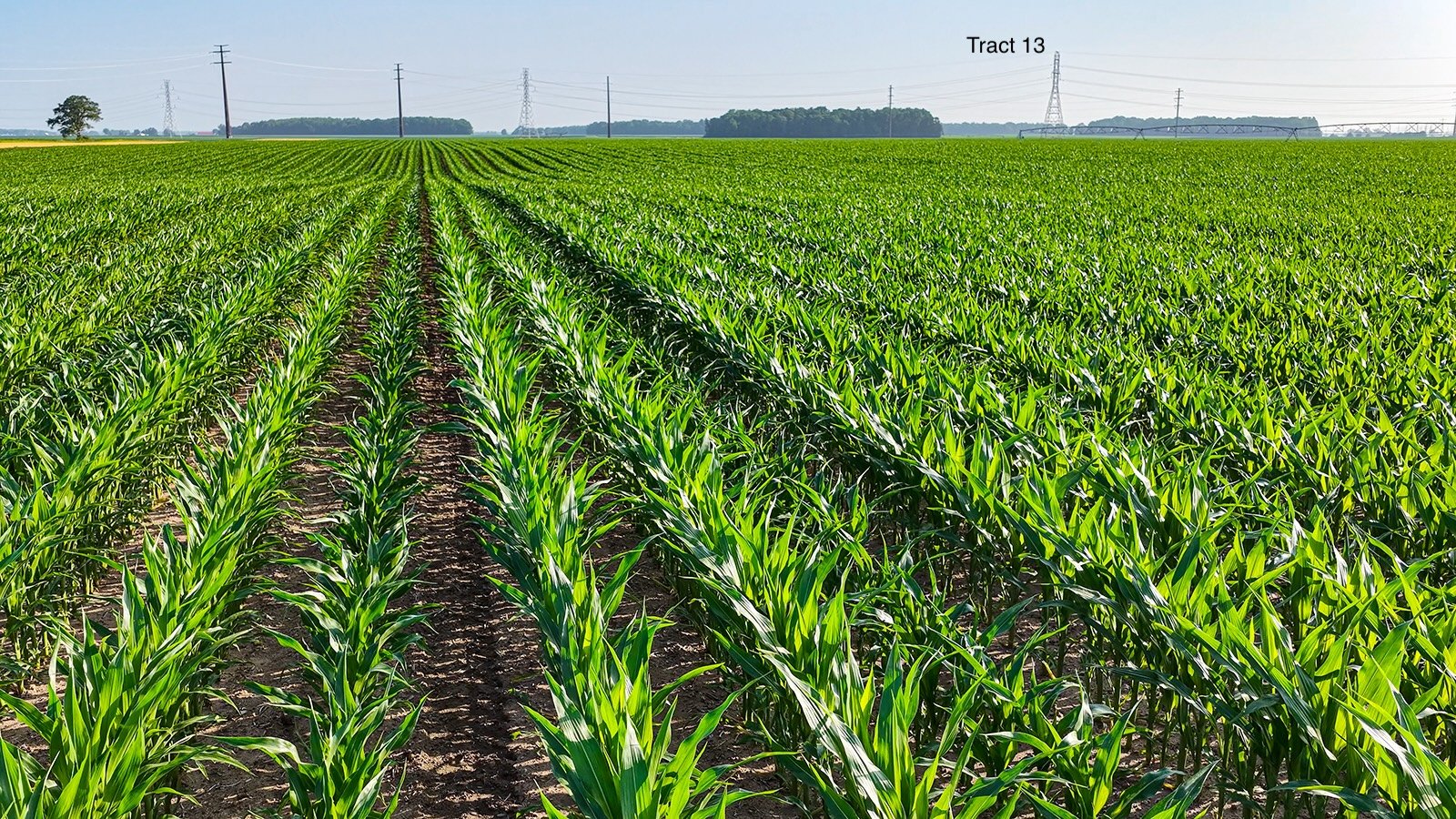 Property photo 103 - LAND AUCTION - 1,803.33+/-ACRES OFFERED IN 18 TRACTS IN KOSCIUSKO AND ELKHART COUNTY, INDIANA
