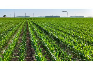 Property photo 103 - LAND AUCTION - 1,803.33+/-ACRES OFFERED IN 18 TRACTS IN KOSCIUSKO AND ELKHART COUNTY, INDIANA