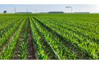 Property photo 103 - LAND AUCTION - 1,803.33+/-ACRES OFFERED IN 18 TRACTS IN KOSCIUSKO AND ELKHART COUNTY, INDIANA