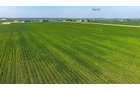 Property photo 117 - LAND AUCTION - 1,803.33+/-ACRES OFFERED IN 18 TRACTS IN KOSCIUSKO AND ELKHART COUNTY, INDIANA