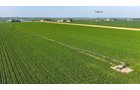 Property photo 118 - LAND AUCTION - 1,803.33+/-ACRES OFFERED IN 18 TRACTS IN KOSCIUSKO AND ELKHART COUNTY, INDIANA