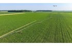 Property photo 119 - LAND AUCTION - 1,803.33+/-ACRES OFFERED IN 18 TRACTS IN KOSCIUSKO AND ELKHART COUNTY, INDIANA