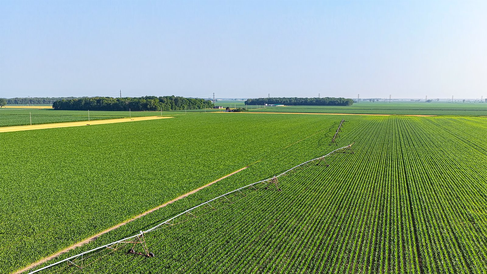 Property photo 3 - LAND AUCTION - 1,803.33+/-ACRES OFFERED IN 18 TRACTS IN KOSCIUSKO AND ELKHART COUNTY, INDIANA