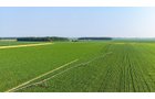 Property photo 3 - LAND AUCTION - 1,803.33+/-ACRES OFFERED IN 18 TRACTS IN KOSCIUSKO AND ELKHART COUNTY, INDIANA