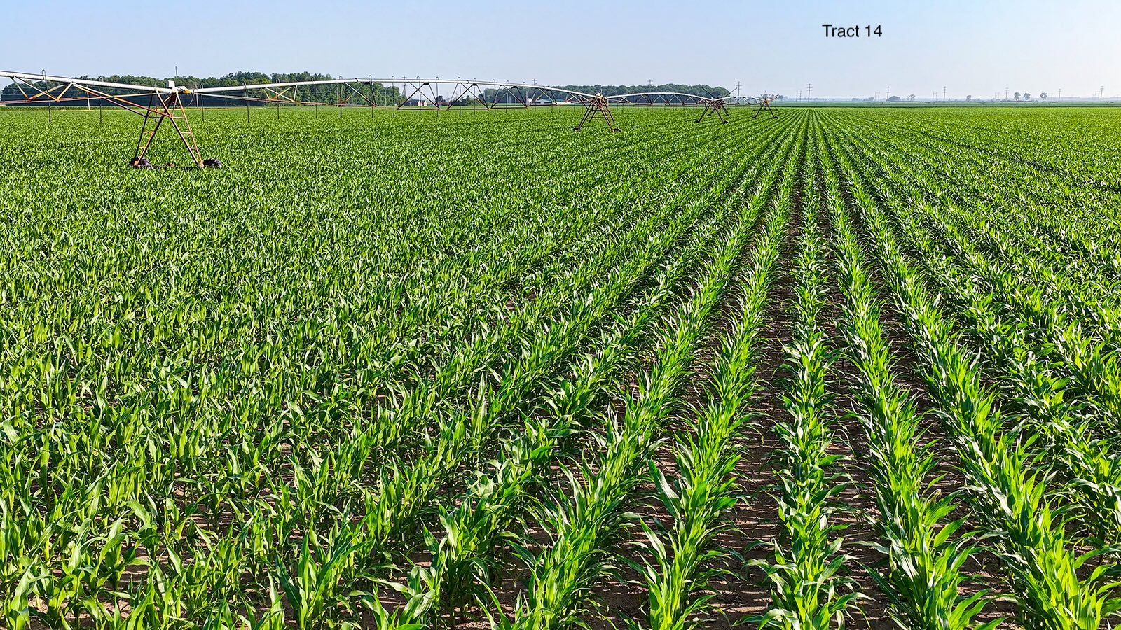 Property photo 120 - LAND AUCTION - 1,803.33+/-ACRES OFFERED IN 18 TRACTS IN KOSCIUSKO AND ELKHART COUNTY, INDIANA
