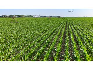 Property photo 120 - LAND AUCTION - 1,803.33+/-ACRES OFFERED IN 18 TRACTS IN KOSCIUSKO AND ELKHART COUNTY, INDIANA