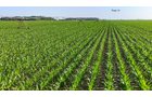 Property photo 120 - LAND AUCTION - 1,803.33+/-ACRES OFFERED IN 18 TRACTS IN KOSCIUSKO AND ELKHART COUNTY, INDIANA