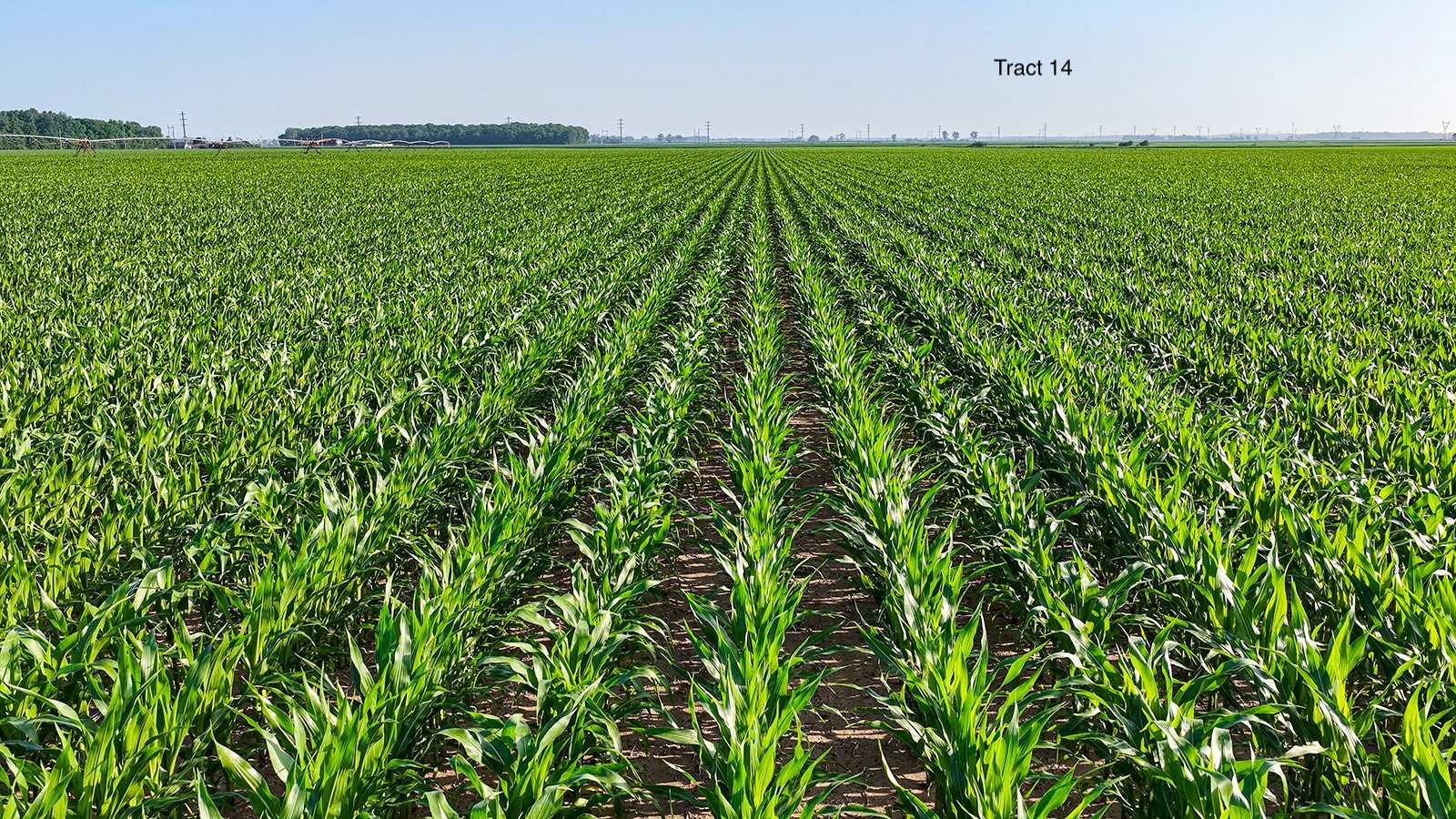 Property photo 121 - LAND AUCTION - 1,803.33+/-ACRES OFFERED IN 18 TRACTS IN KOSCIUSKO AND ELKHART COUNTY, INDIANA