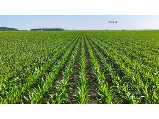 Property photo 121 - LAND AUCTION - 1,803.33+/-ACRES OFFERED IN 18 TRACTS IN KOSCIUSKO AND ELKHART COUNTY, INDIANA