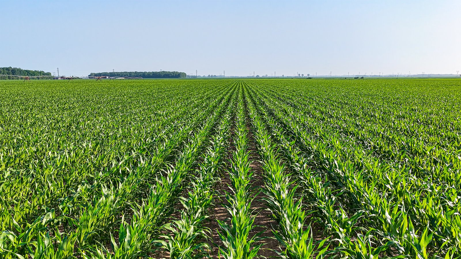 Property photo 5 - LAND AUCTION - 1,803.33+/-ACRES OFFERED IN 18 TRACTS IN KOSCIUSKO AND ELKHART COUNTY, INDIANA