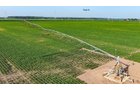 Property photo 69 - LAND AUCTION - 1,803.33+/-ACRES OFFERED IN 18 TRACTS IN KOSCIUSKO AND ELKHART COUNTY, INDIANA