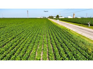 Property photo 81 - LAND AUCTION - 1,803.33+/-ACRES OFFERED IN 18 TRACTS IN KOSCIUSKO AND ELKHART COUNTY, INDIANA