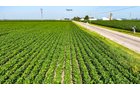 Property photo 81 - LAND AUCTION - 1,803.33+/-ACRES OFFERED IN 18 TRACTS IN KOSCIUSKO AND ELKHART COUNTY, INDIANA
