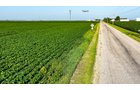 Property photo 82 - LAND AUCTION - 1,803.33+/-ACRES OFFERED IN 18 TRACTS IN KOSCIUSKO AND ELKHART COUNTY, INDIANA