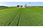 Property photo 80 - LAND AUCTION - 1,803.33+/-ACRES OFFERED IN 18 TRACTS IN KOSCIUSKO AND ELKHART COUNTY, INDIANA