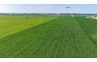Property photo 72 - LAND AUCTION - 1,803.33+/-ACRES OFFERED IN 18 TRACTS IN KOSCIUSKO AND ELKHART COUNTY, INDIANA