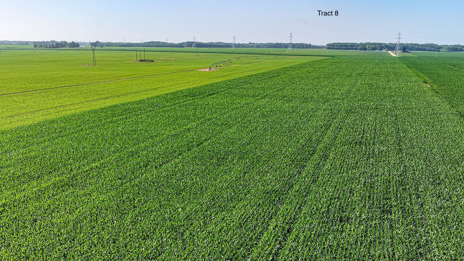 Property photo 73 - LAND AUCTION - 1,803.33+/-ACRES OFFERED IN 18 TRACTS IN KOSCIUSKO AND ELKHART COUNTY, INDIANA