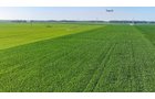 Property photo 73 - LAND AUCTION - 1,803.33+/-ACRES OFFERED IN 18 TRACTS IN KOSCIUSKO AND ELKHART COUNTY, INDIANA