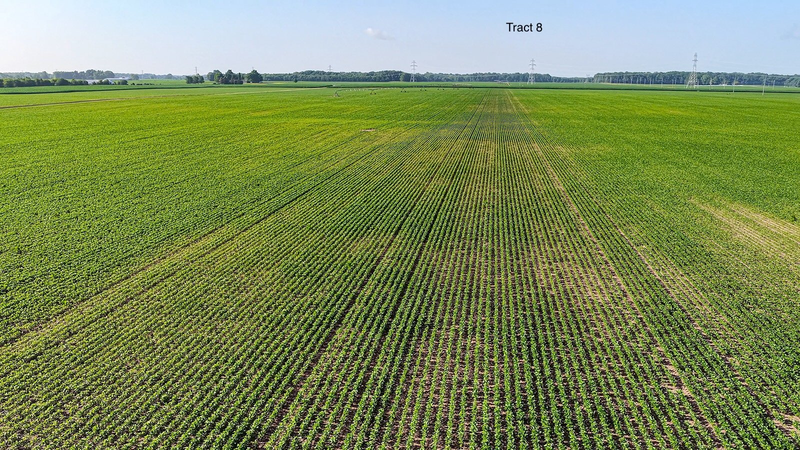 Property photo 74 - LAND AUCTION - 1,803.33+/-ACRES OFFERED IN 18 TRACTS IN KOSCIUSKO AND ELKHART COUNTY, INDIANA