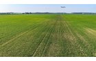 Property photo 74 - LAND AUCTION - 1,803.33+/-ACRES OFFERED IN 18 TRACTS IN KOSCIUSKO AND ELKHART COUNTY, INDIANA