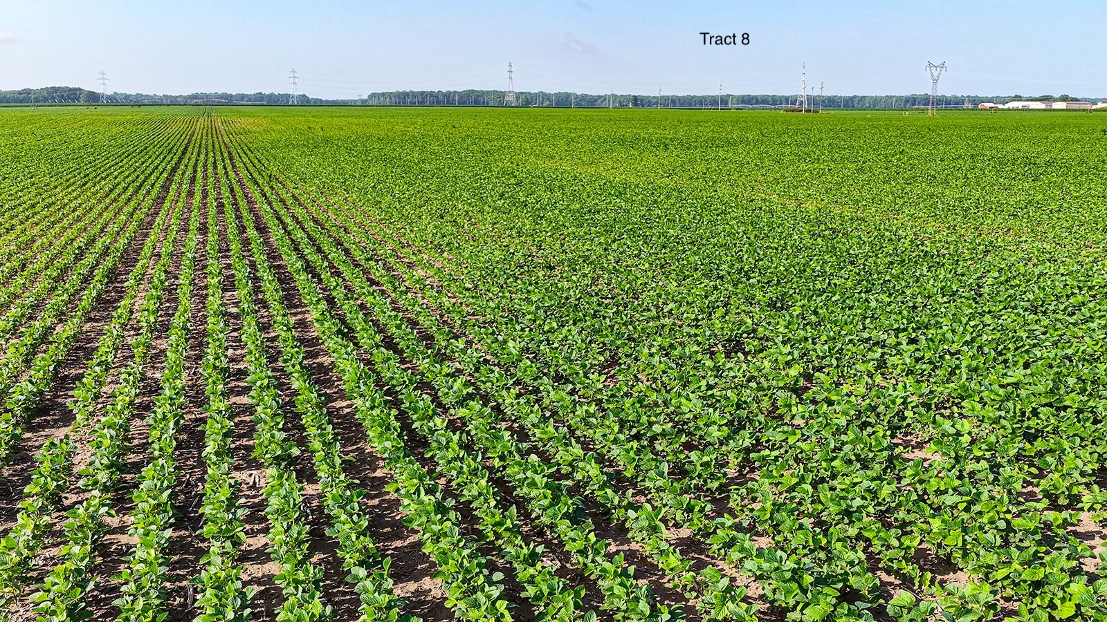Property photo 75 - LAND AUCTION - 1,803.33+/-ACRES OFFERED IN 18 TRACTS IN KOSCIUSKO AND ELKHART COUNTY, INDIANA