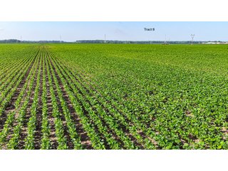Property photo 75 - LAND AUCTION - 1,803.33+/-ACRES OFFERED IN 18 TRACTS IN KOSCIUSKO AND ELKHART COUNTY, INDIANA