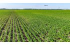 Property photo 75 - LAND AUCTION - 1,803.33+/-ACRES OFFERED IN 18 TRACTS IN KOSCIUSKO AND ELKHART COUNTY, INDIANA