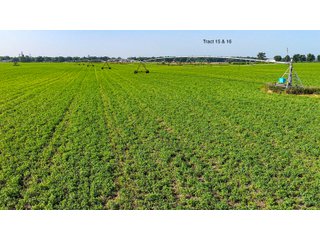 Property photo 128 - LAND AUCTION - 1,803.33+/-ACRES OFFERED IN 18 TRACTS IN KOSCIUSKO AND ELKHART COUNTY, INDIANA