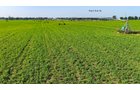 Property photo 128 - LAND AUCTION - 1,803.33+/-ACRES OFFERED IN 18 TRACTS IN KOSCIUSKO AND ELKHART COUNTY, INDIANA