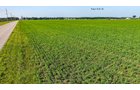 Property photo 130 - LAND AUCTION - 1,803.33+/-ACRES OFFERED IN 18 TRACTS IN KOSCIUSKO AND ELKHART COUNTY, INDIANA