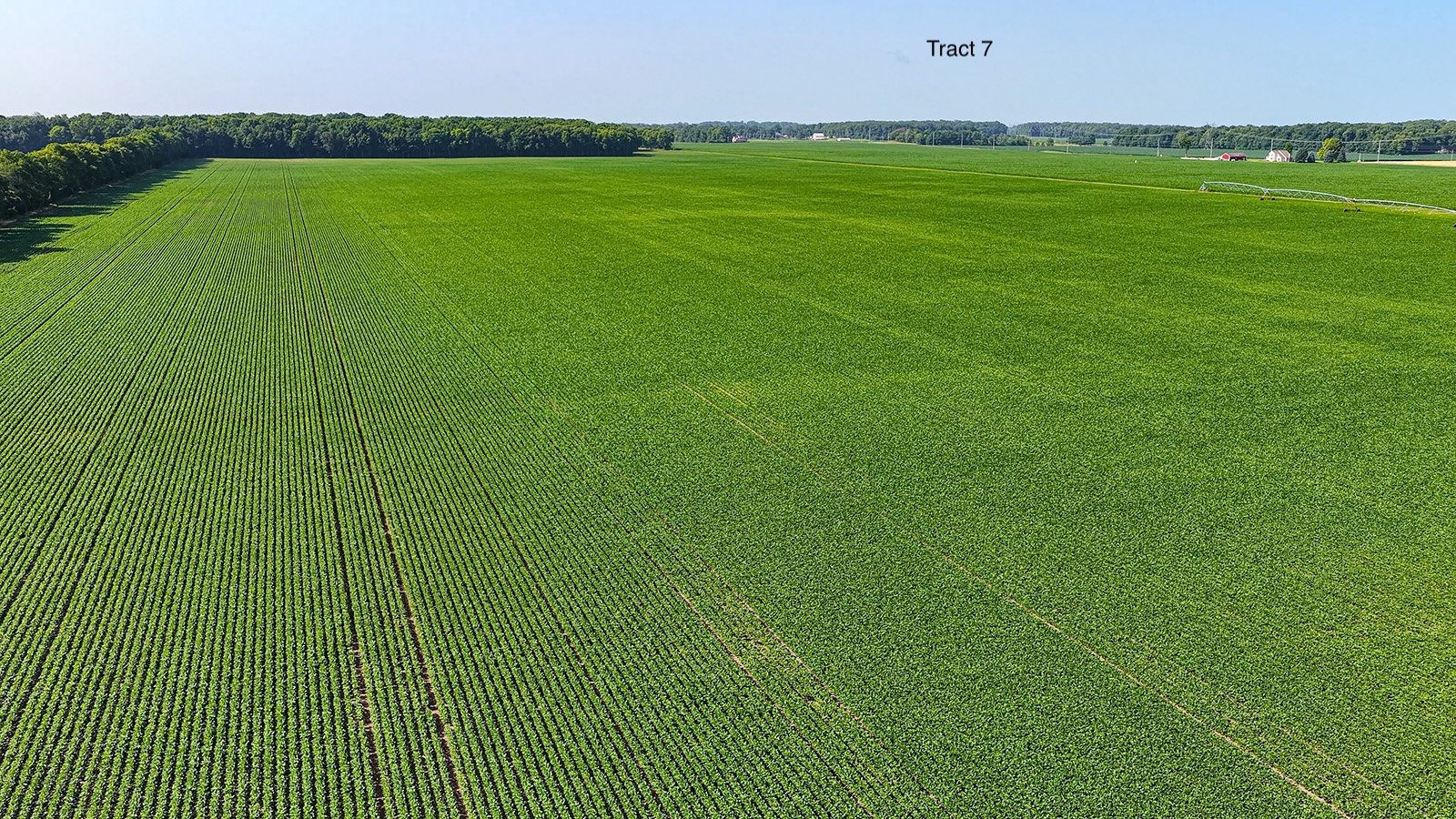 Property photo 59 - LAND AUCTION - 1,803.33+/-ACRES OFFERED IN 18 TRACTS IN KOSCIUSKO AND ELKHART COUNTY, INDIANA