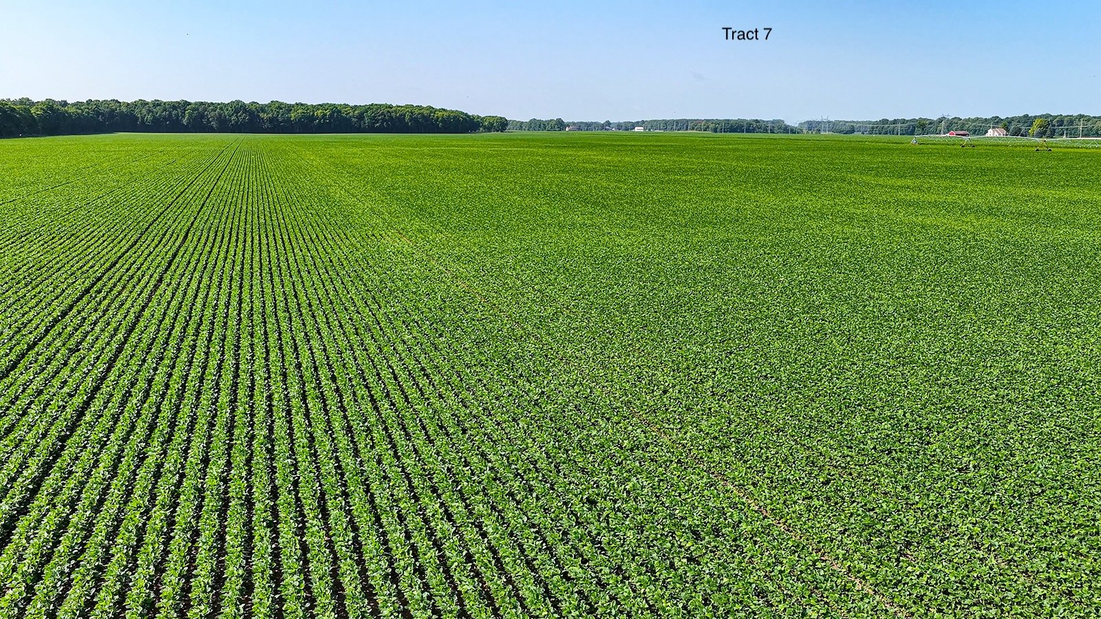 Property photo 60 - LAND AUCTION - 1,803.33+/-ACRES OFFERED IN 18 TRACTS IN KOSCIUSKO AND ELKHART COUNTY, INDIANA