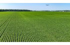 Property photo 60 - LAND AUCTION - 1,803.33+/-ACRES OFFERED IN 18 TRACTS IN KOSCIUSKO AND ELKHART COUNTY, INDIANA