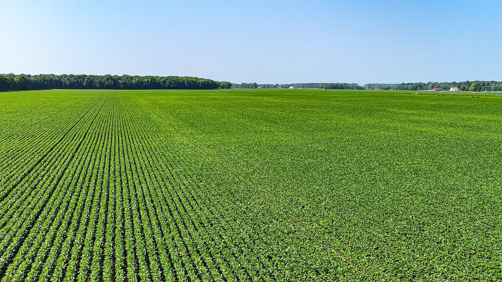 Property photo 2 - LAND AUCTION - 1,803.33+/-ACRES OFFERED IN 18 TRACTS IN KOSCIUSKO AND ELKHART COUNTY, INDIANA