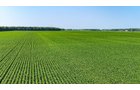 Property photo 2 - LAND AUCTION - 1,803.33+/-ACRES OFFERED IN 18 TRACTS IN KOSCIUSKO AND ELKHART COUNTY, INDIANA