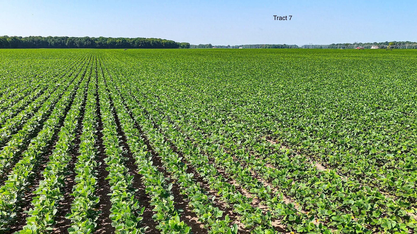 Property photo 61 - LAND AUCTION - 1,803.33+/-ACRES OFFERED IN 18 TRACTS IN KOSCIUSKO AND ELKHART COUNTY, INDIANA