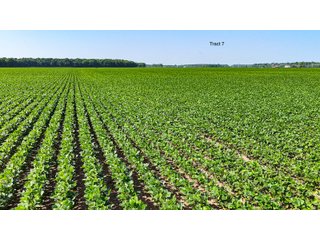 Property photo 61 - LAND AUCTION - 1,803.33+/-ACRES OFFERED IN 18 TRACTS IN KOSCIUSKO AND ELKHART COUNTY, INDIANA
